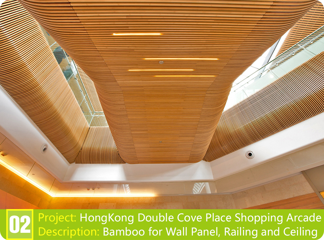 Bamboo Project: HongKong Double Cove Place