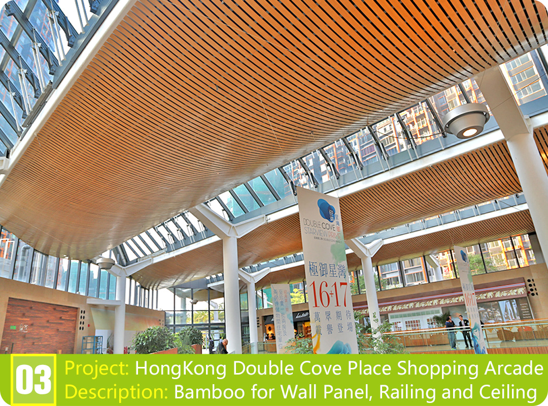 Bamboo Project: HongKong Double Cove Place