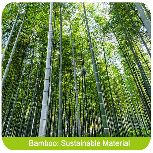 Compelling Reasons to Choose Bamboo Decking