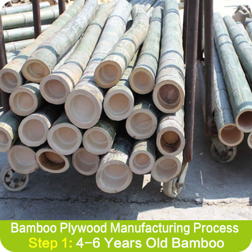 How is Bamboo Plywood Made and Pros