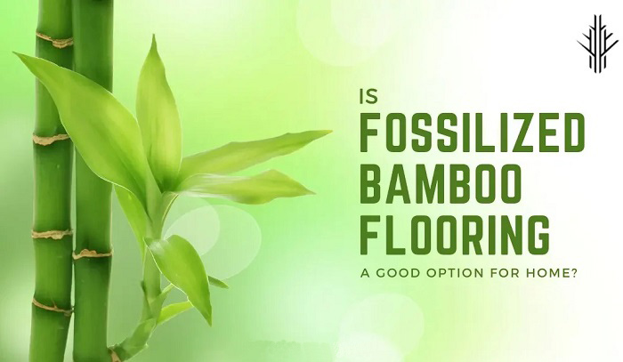 Fossillized Bamboo Flooring Reviews