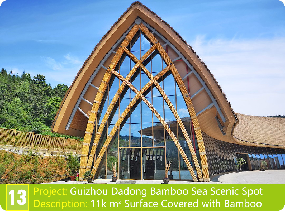 Bamboo Project: Guizhou Dadong Bamboo Sea Scenic Spot