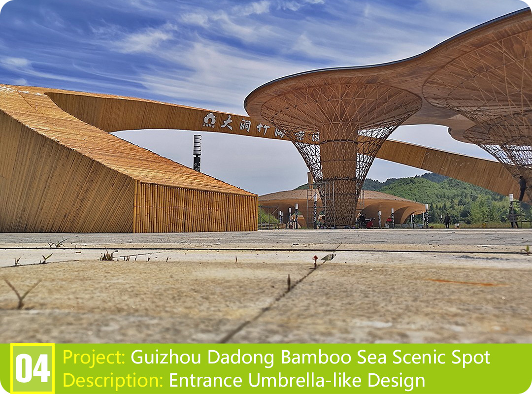 Bamboo Project: Guizhou Dadong Bamboo Sea Scenic Spot