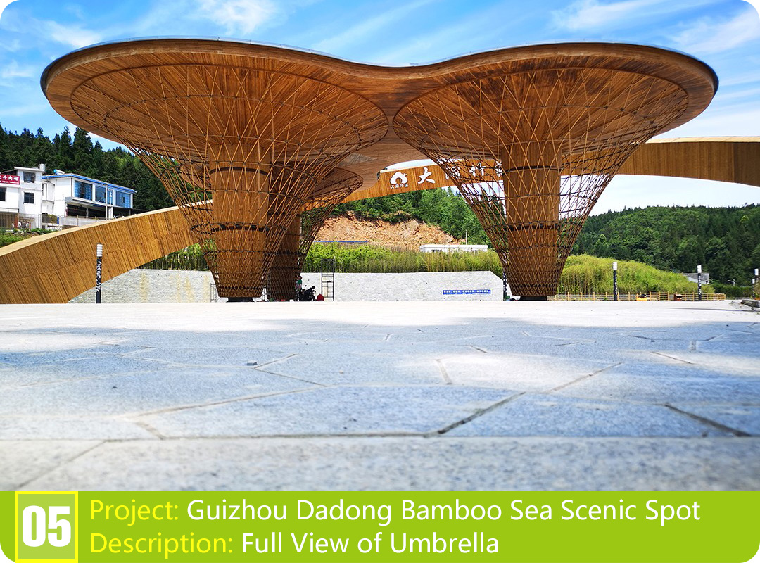 Bamboo Project: Guizhou Dadong Bamboo Sea Scenic Spot