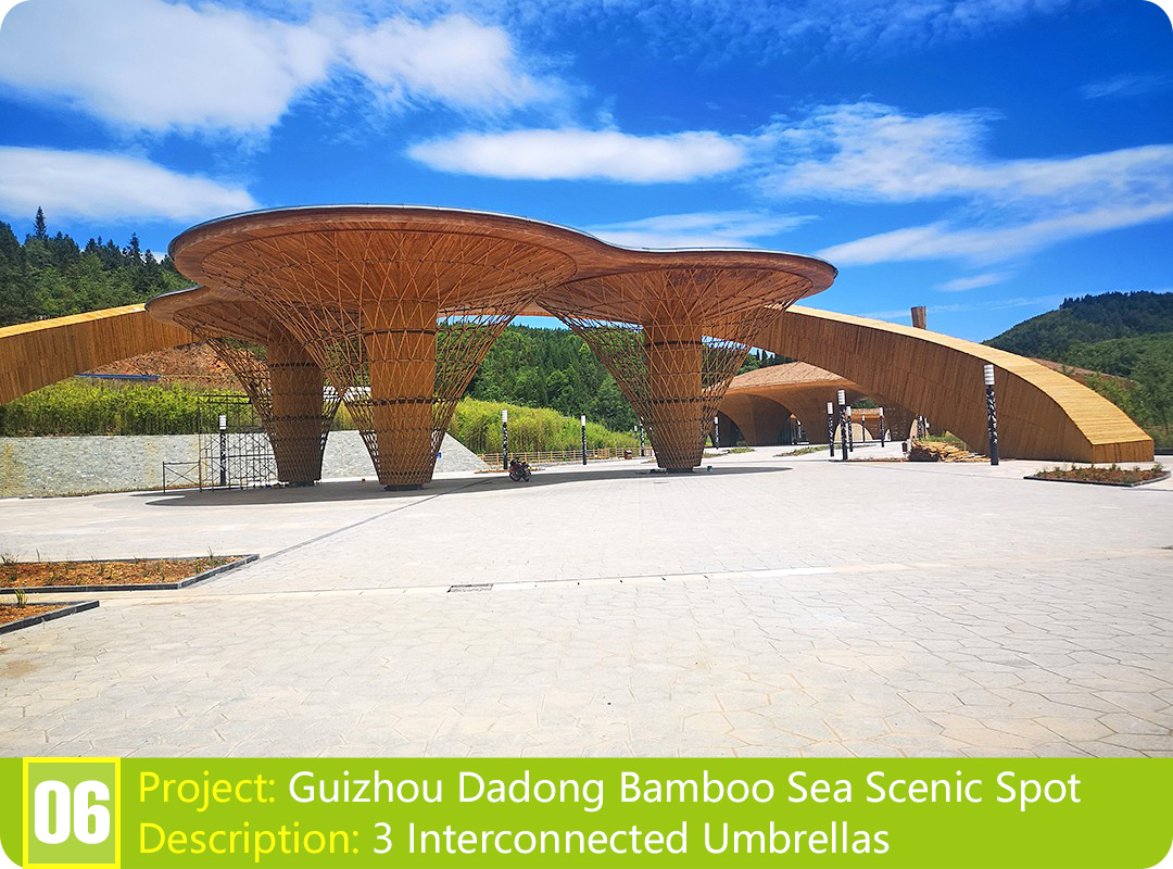 Bamboo Project: Guizhou Dadong Bamboo Sea Scenic Spot