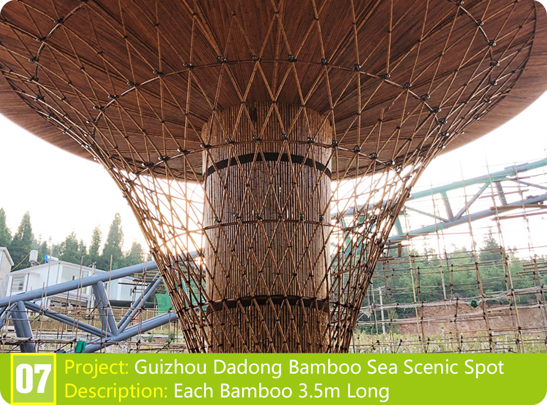 Bamboo Project: Guizhou Dadong Bamboo Sea Scenic Spot