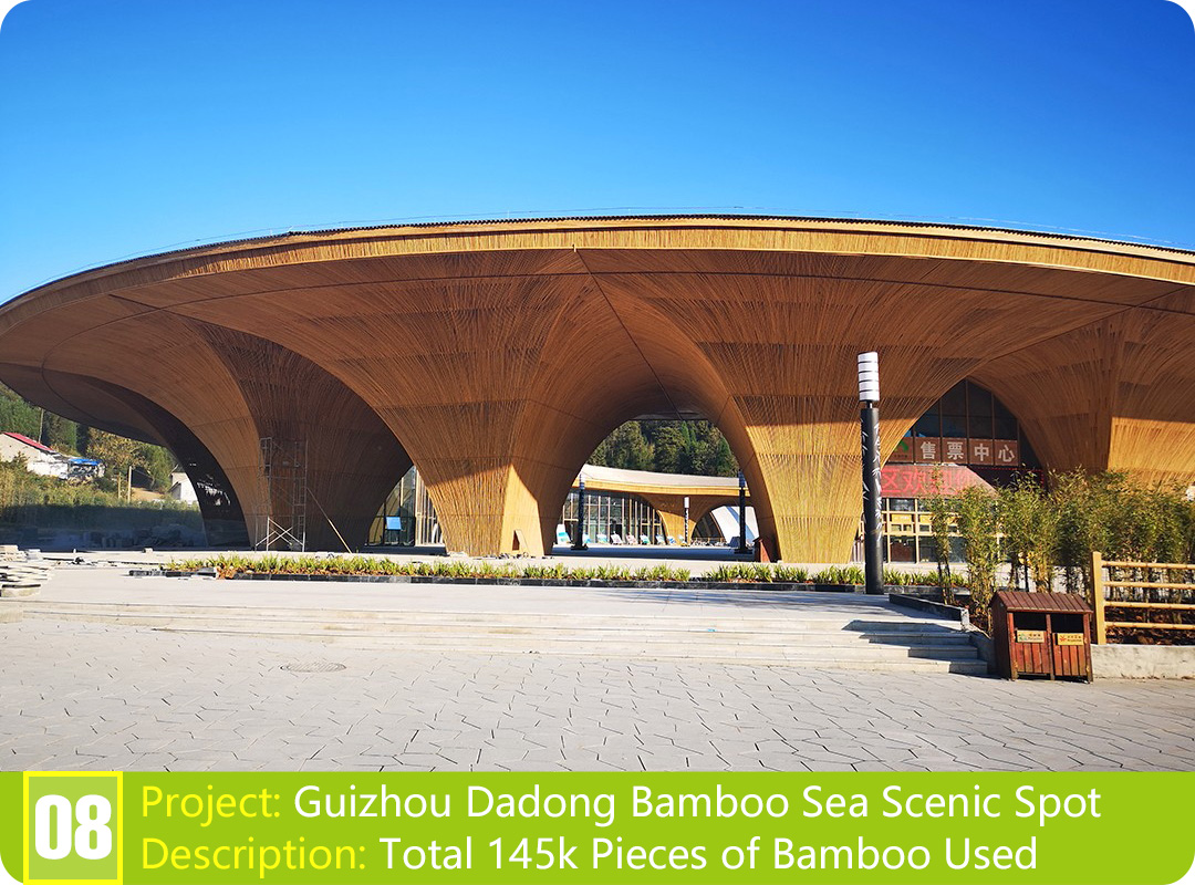 Bamboo Project: Guizhou Dadong Bamboo Sea Scenic Spot