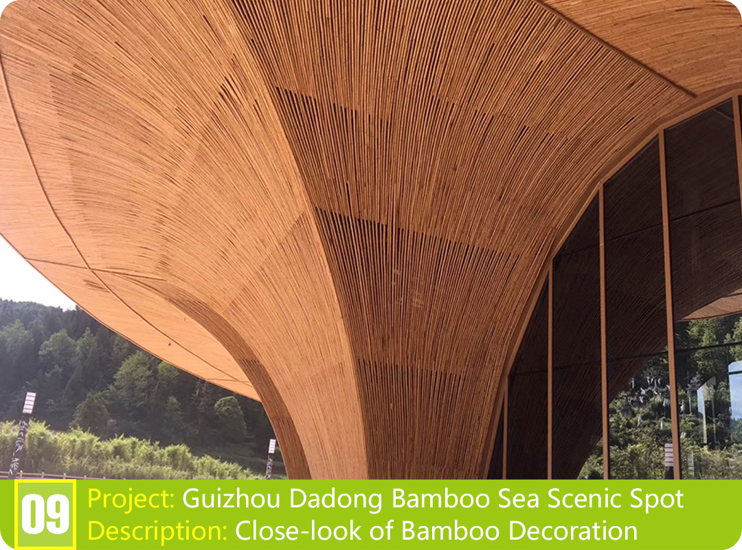 Bamboo Project: Guizhou Dadong Bamboo Sea Scenic Spot