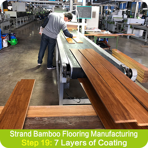 Bamboo Flooring in Coating