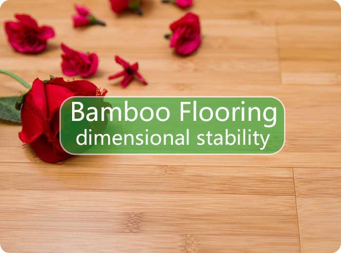 Bamboo Flooring Philippines Supplier